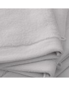 Lot de 2 gant de toilette en coton Softy galet - 15 x 21 cm