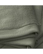 Lot de 2 gant de toilette en coton Softy romarin - 15 x 21 cm