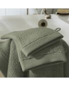Lot de 2 gant de toilette en coton Softy romarin - 15 x 21 cm