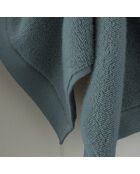 Lot de 2 serviettes invité en coton Softy orage - 30 x 50 cm