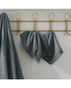Lot de 2 serviettes invité en coton Softy orage - 30 x 50 cm