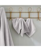 Lot de 2 serviettes invité en coton Softy galet - 30 x 50 cm