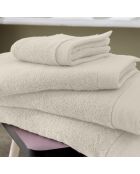 Ivory Softy Schwammpaket aus Baumwolle