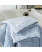Lot de 2 gant de toilette en coton Softy azur - 15 x 21 cm