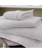 Confezione di spugne in cotone Softy Pebble