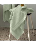 Serviette de toilette en coton Softy amande - 50 x 100 cm