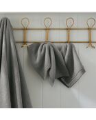 Lot de 2 serviettes invité en coton Softy ardoise - 30 x 50 cm