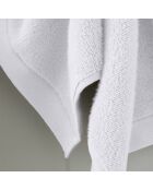 Lot de 2 serviettes invité en coton Softy neige - 30 x 50 cm