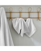 Lot de 2 serviettes invité en coton Softy neige - 30 x 50 cm