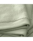 Lot de 2 gant de toilette en coton Softy amande - 15 x 21 cm