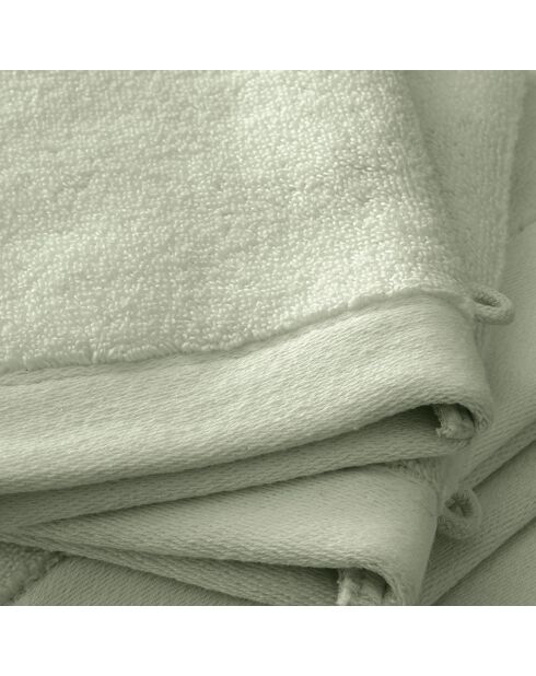 Lot de 2 gant de toilette en coton Softy amande - 15 x 21 cm