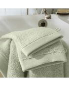 Lot de 2 gant de toilette en coton Softy amande - 15 x 21 cm