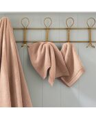 Lot de 2 serviettes invité en coton Softy rose poudre - 30 x 50 cm