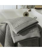Lot de 2 gant de toilette en coton Softy ardoise - 15 x 21 cm