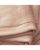 Lot de 2 gant de toilette en coton Softy rose poudre - 15 x 21 cm