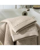 Lot de 2 gant de toilette en coton Softy naturel - 15 x 21 cm