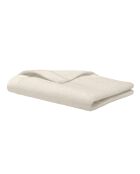 Serviette de toilette en coton Softy ivoire - 50 x 100 cm