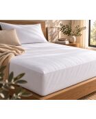 Protège matelas en coton imperméable Shield blanc