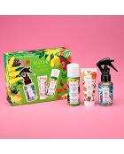 Coffret Dream Team Jardin Pallanca