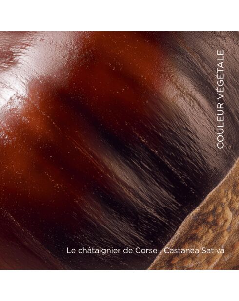 Rouge à Lèvres 030. Nude Castanea