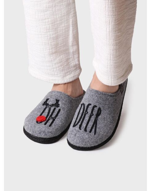 Chaussons d'intérieur Tobi gris