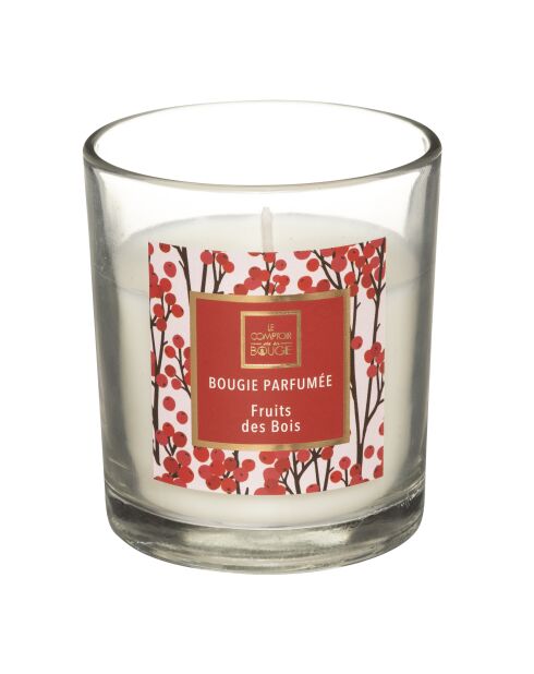 Lot de 4 Bougies parfumées verre Neda fleur des bois - 110g