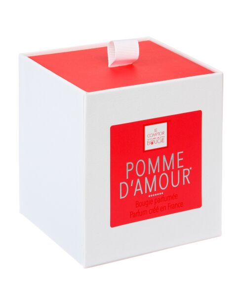 Bougie parfum verre Elea pomme amande transparente - 190g