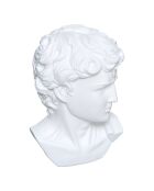 Tête david résine blanche - H.25 cm