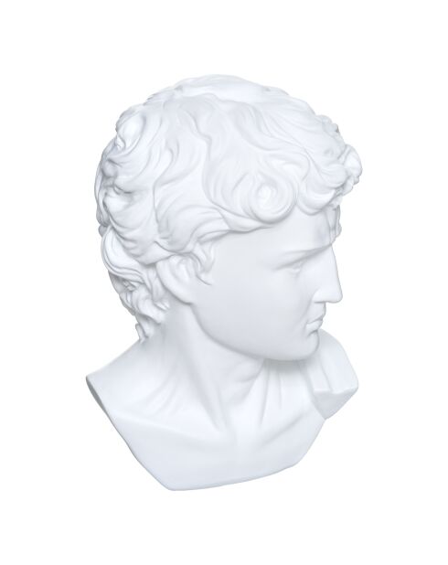 Tête david résine blanche - H.25 cm