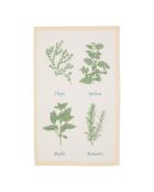 Lot de 3 torchons en coton Slub garri blancs - 45x70 cm