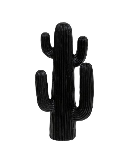 Cactus odm Rodrigo extérieur noir - H.38 cm