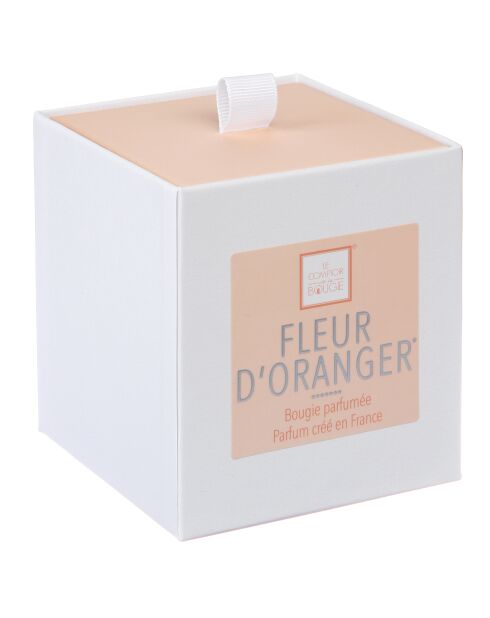 Bougie parfum verre Elea fleur oranger transparente - 190g