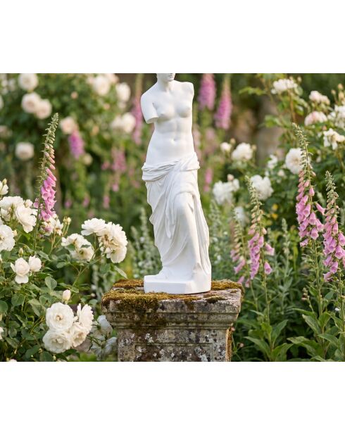 Statue venus mgo Isa extérieur blanche - H.98 cm