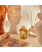 Diffuseur en verre Sienna assortie - 200ml
