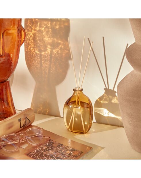 Diffuseur en verre Sienna assortie - 200ml