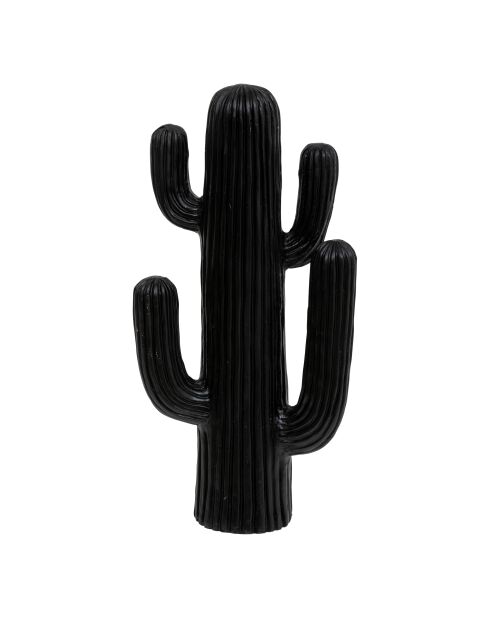 Cactus odm Rodrigo extérieur noir - H.57 cm