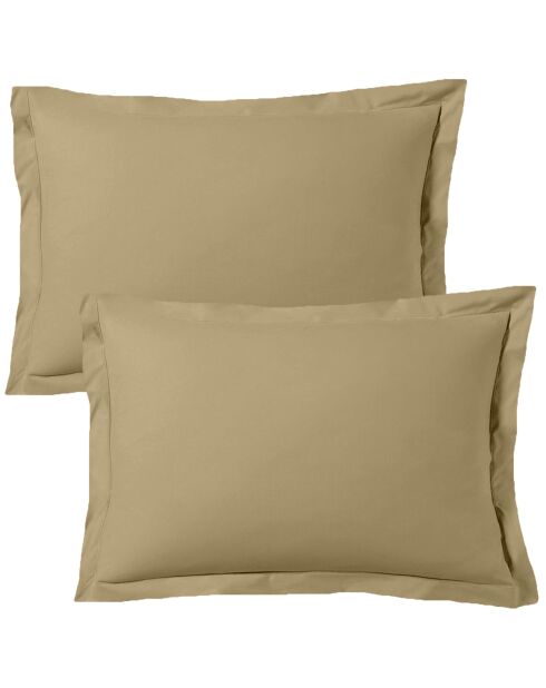 Lot de 2 taies d'oreiller satin de coton beige