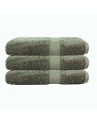 Set di 3 spugne verdi in cotone - 50x90 cm