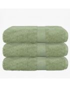 Set di 3 teli da bagno in cotone tiglio - 70x130 cm
