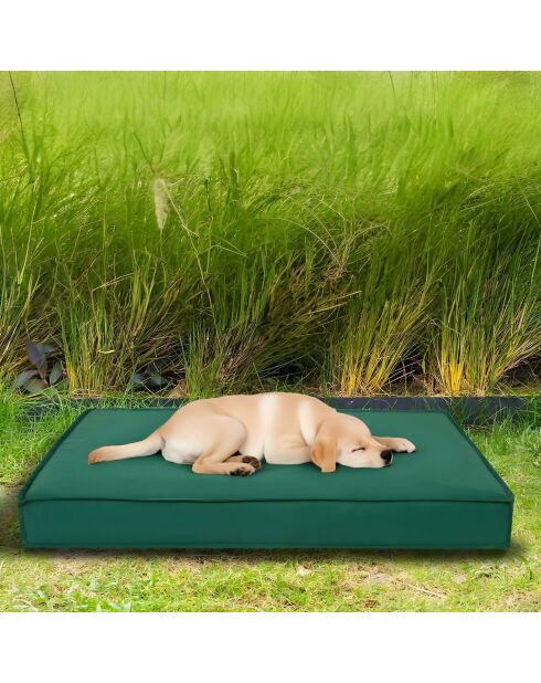 Lit pour animaux Eva Garden Dog XL vert - 95x75x9 cm
