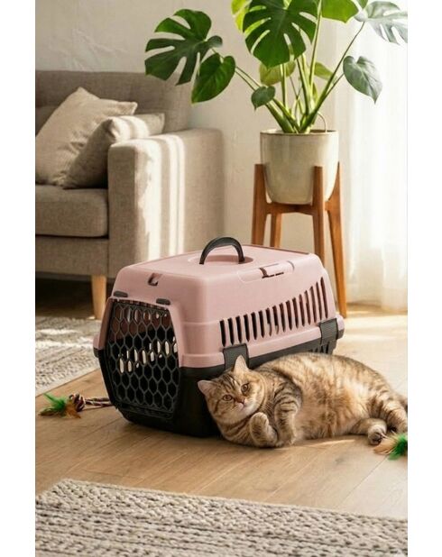 5097-R-3 Tiertransportkoffer, rosa, 56,6 x 40 x 68,5 cm