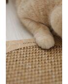 Kedi beige krabmat voor katten - 36x32x1 cm
