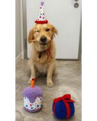 Giocattolo per cani Havhav 1035 viola