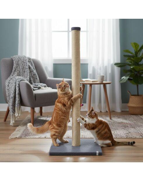 Kattenkrabber Aero antraciet - 37,5x37,5x102 cm