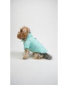 Angel Glow Coat S blauwe hondenhoodie