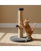 Tiragraffi per gatti Coris antracite - 30x52 cm