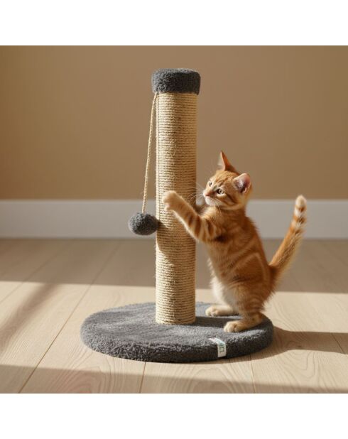 Tiragraffi per gatti Coris antracite - 30x52 cm