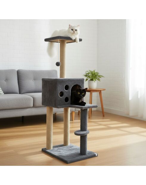Casetta per gatti Orion antracite - 50x35x115 cm