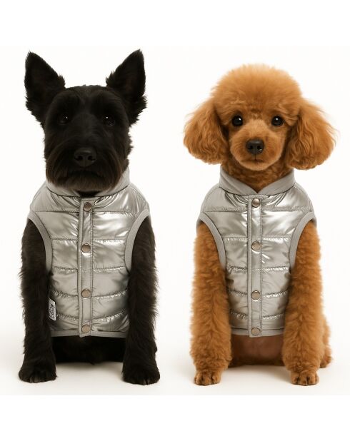 Parlak Anorak S zilveren hondenhoodie