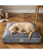 Cama gris para mascotas Silky Paw S - 50x58x8 cm